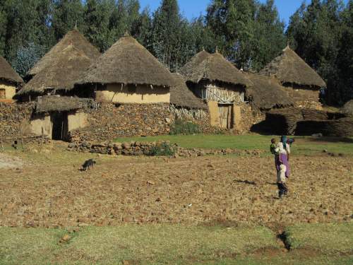 TRADITIONAL HOUSES OF ETHIOPIA: Traditional houses of Ethiopia: Traditional farmers hamlet within enclosure with stone and plastered walls
