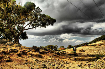 ETHIOPIA WEATHER BY MONTH & CLIMATE ZONES: Simien Mountains National Park, Giant Erica forest