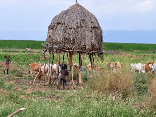 TRADITIONAL HOUSES OF ETHIOPIA: Food storage of the Hamar People, Southern Ethiopia