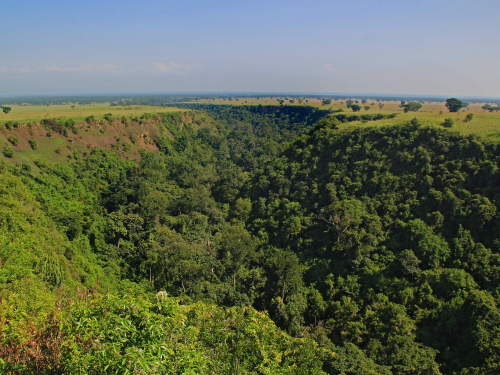 QUEEN ELIZABETH NATIONAL PARK, UGANDA: Kyambura Gorge.