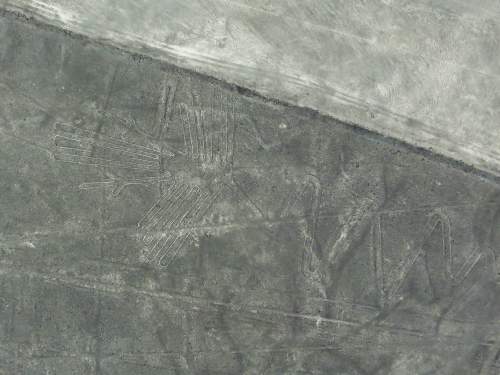 NAZCA LINES, PERU, FACTS: WHO MADE & WHAT ARE THEY? [TOURS FROM LIMA]:  WHO MADE & WHAT ARE THEY? [TOURS FROM LIMA] : Heron