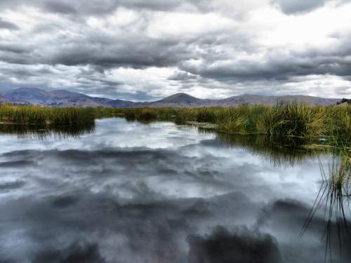5 THINGS THAT MAKE TITICACA NATIONAL RESERVATION UNIQUE: The marshes of the reserve open up to small lakes full of aquatic birds. 